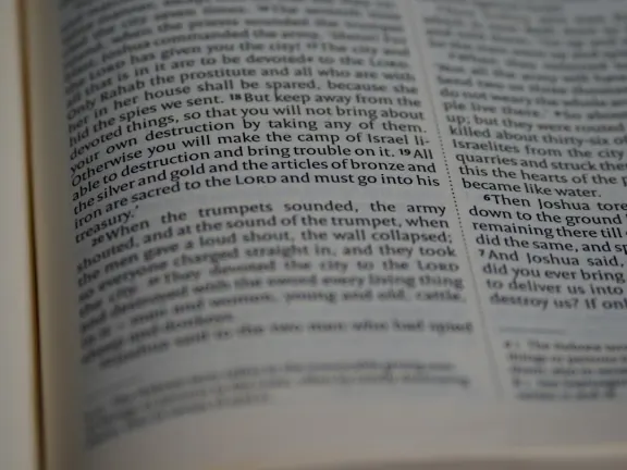 Hejgo Kasino Sokongan